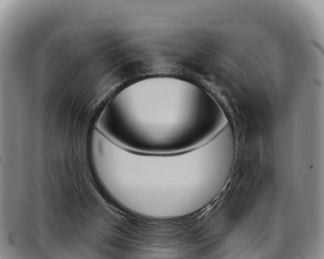 X0000097890154200803141013