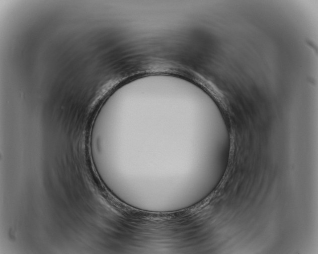 X0000097890155200803141013