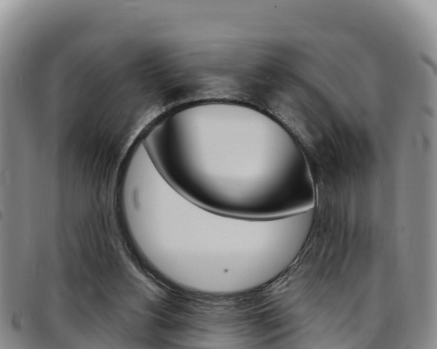 X0000097890156200803141013
