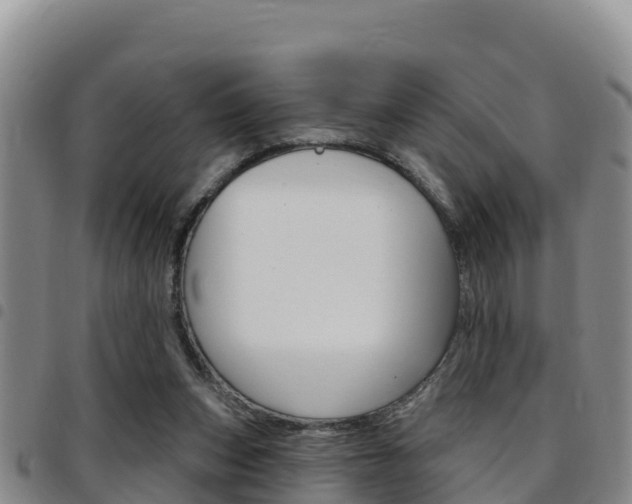 X0000097890159200803141013