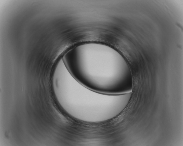 X0000097890160200803141013