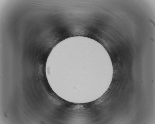 X0000097890162200803141013