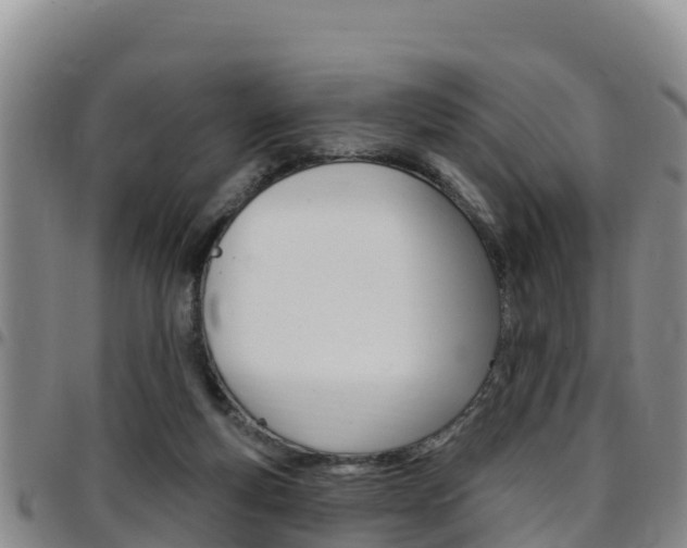 X0000097890163200803141013