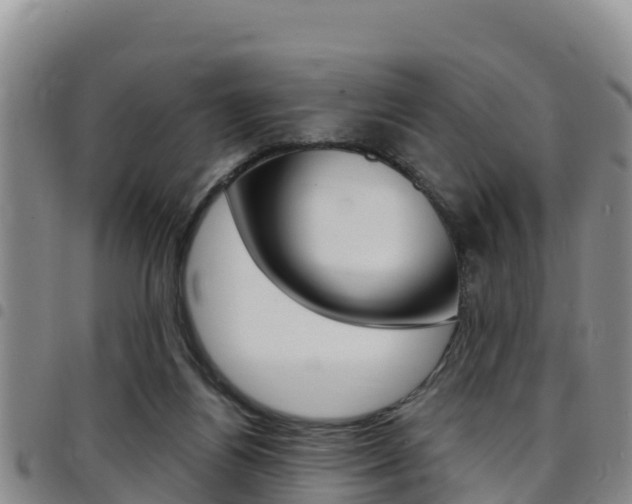 X0000097890164200803141013