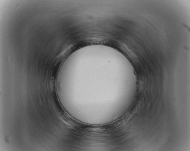 X0000097890165200803141013