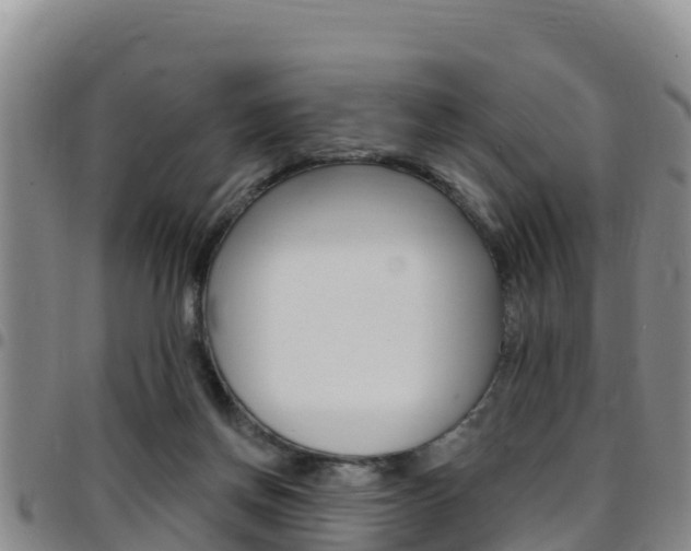 X0000097890166200803141013