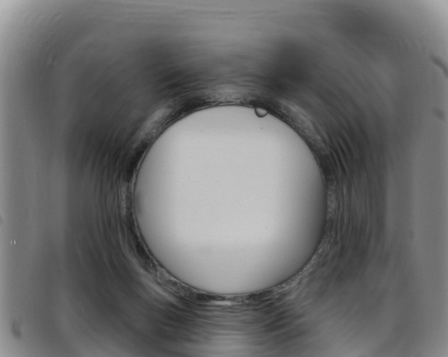 X0000097890167200803141013