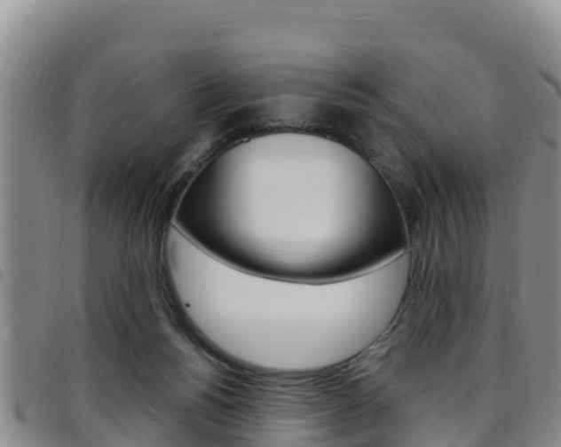 X0000097890168200803141013