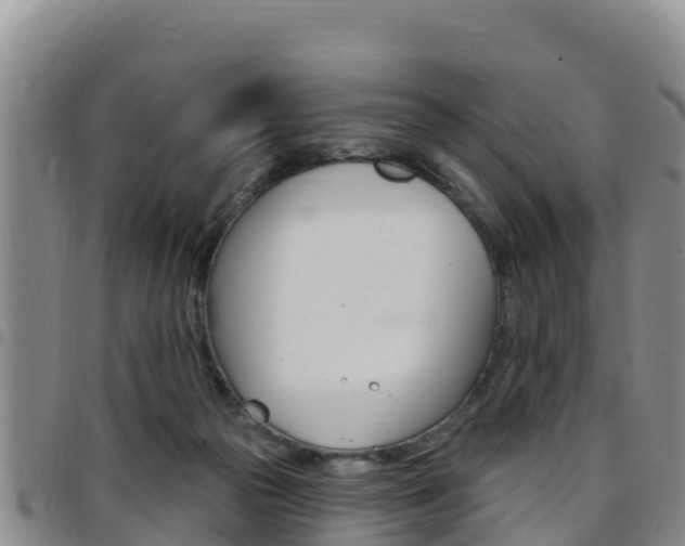 X0000097890169200803141013