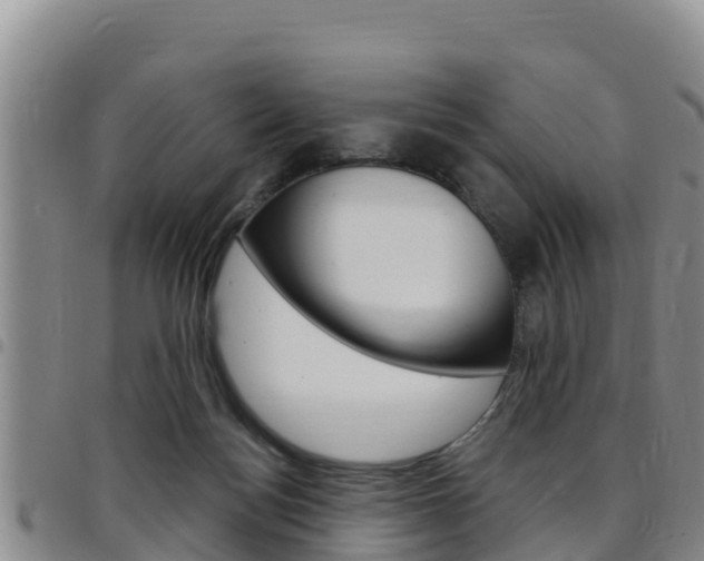 X0000097890172200803141013