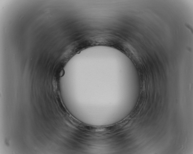 X0000097890173200803141013