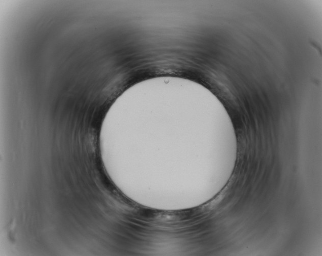 X0000097890174200803141013