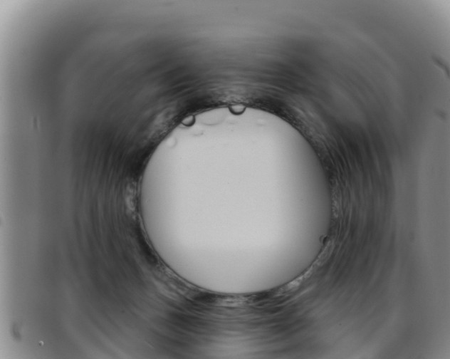 X0000097890175200803141013