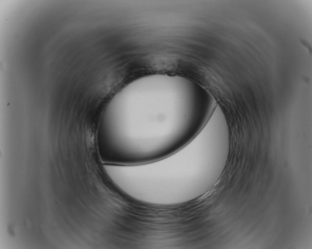 X0000097890176200803141013