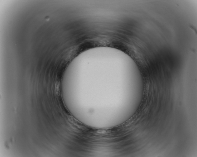 X0000097890177200803141013