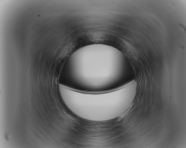 X0000097890180200803141013