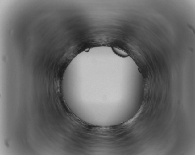 X0000097890182200803141013