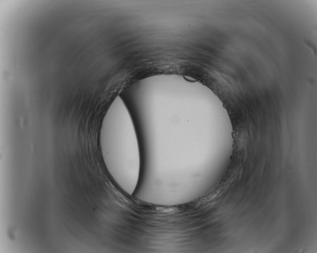 X0000097890185200803141013