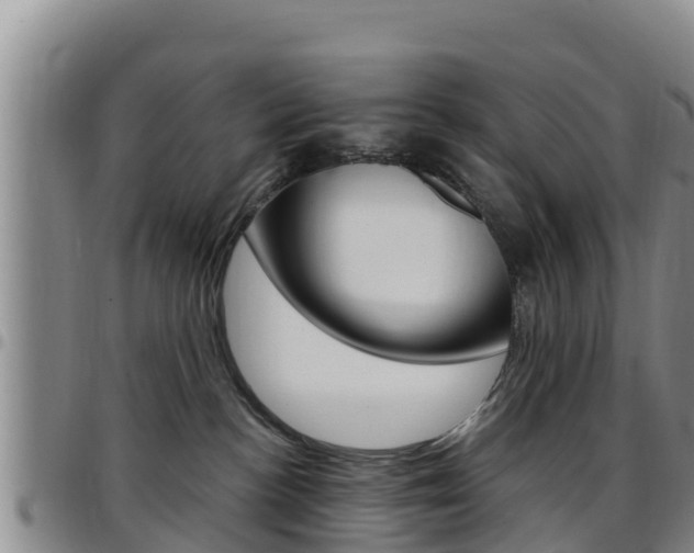 X0000097890188200803141013