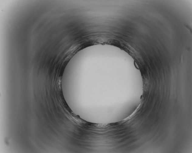 X0000097890191200803141013