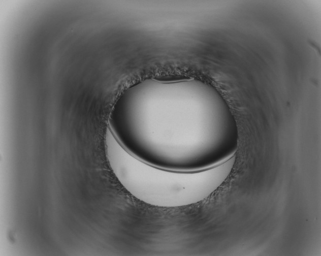 X0000097890192200803141013