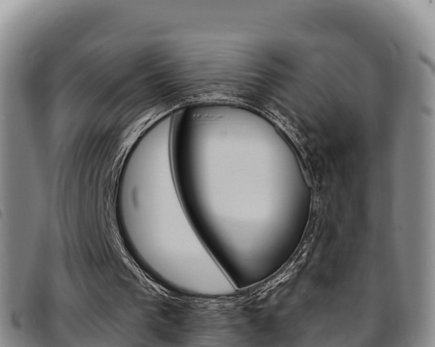 X0000097890193200803141012