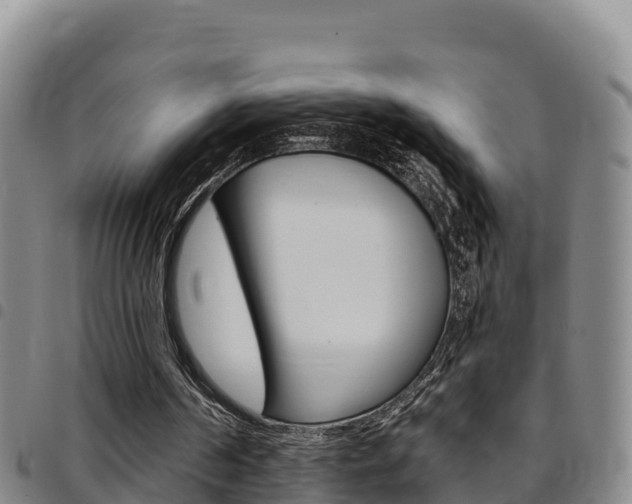 X0000097890194200803141012