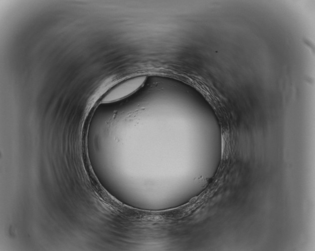 X0000097890195200803141012