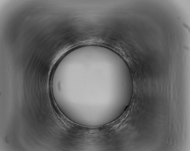 X0000097890196200803141012
