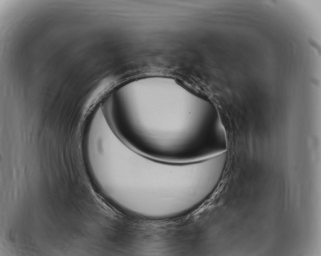 X0000097890197200803141012