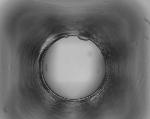 X0000097890198200803141012
