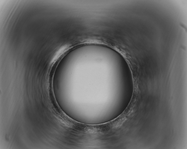 X0000097890199200803141012