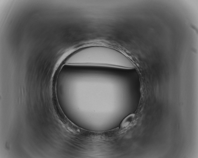 X0000097890200200803141012