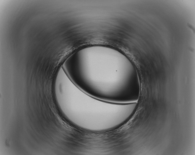 X0000097890201200803141012