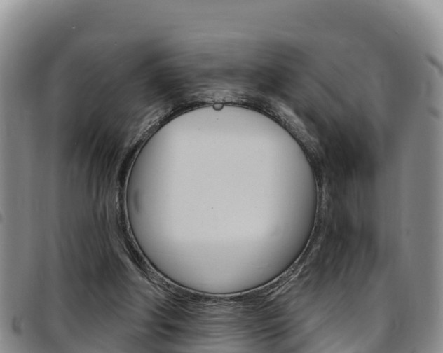 X0000097890202200803141012
