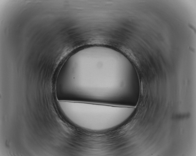 X0000097890204200803141012