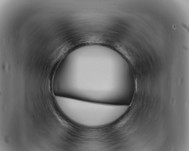 X0000097890205200803141012