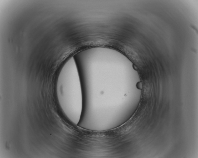 X0000097890206200803141012