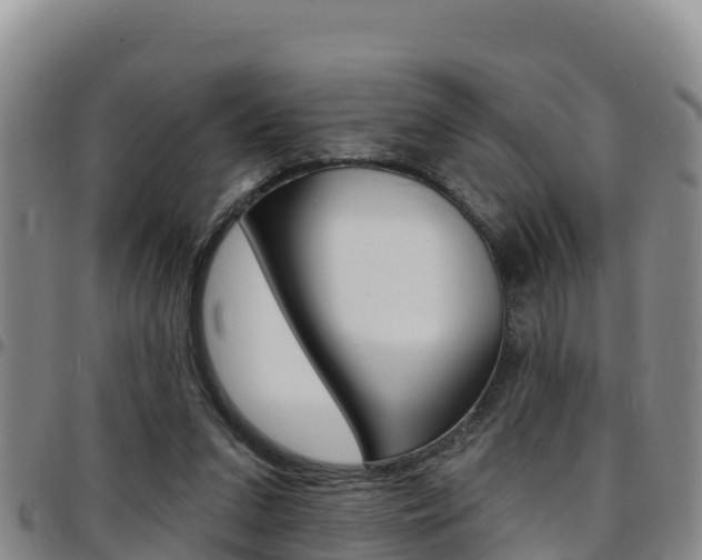X0000097890207200803141012
