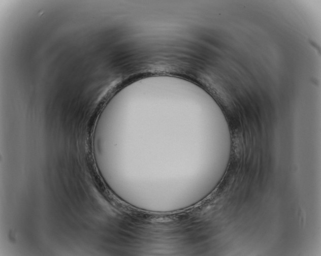 X0000097890208200803141012