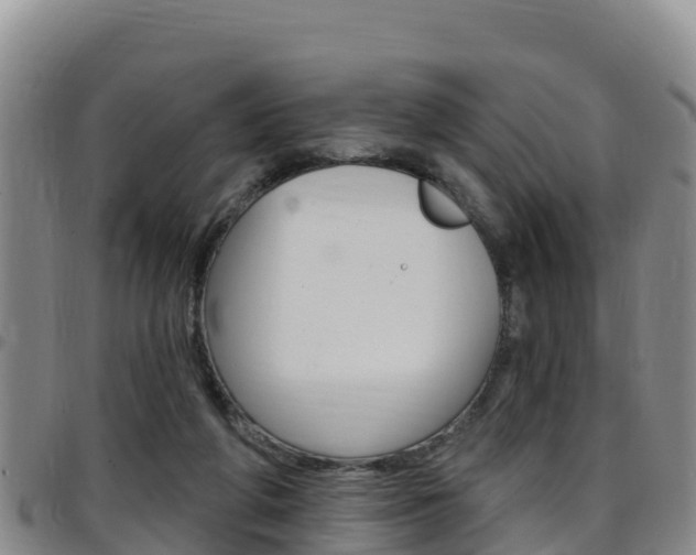 X0000097890210200803141012