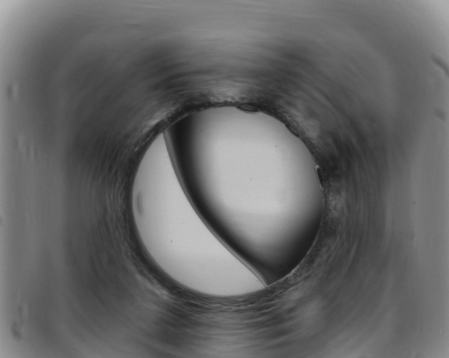 X0000097890211200803141012