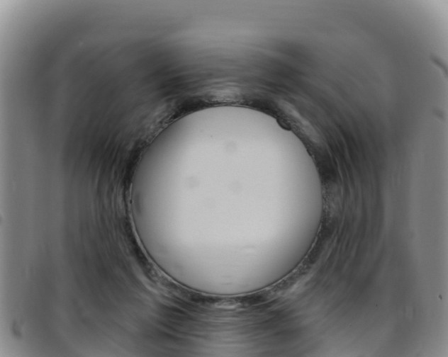 X0000097890213200803141012