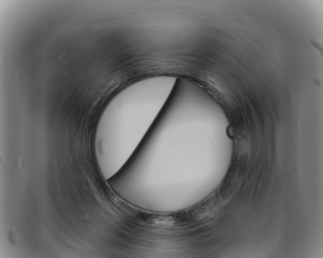 X0000097890214200803141012