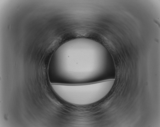 X0000097890215200803141012