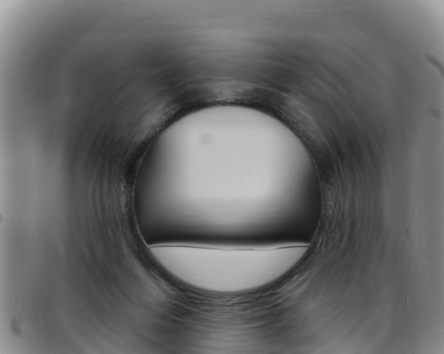 X0000097890216200803141012