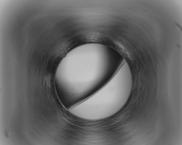 X0000097890217200803141012