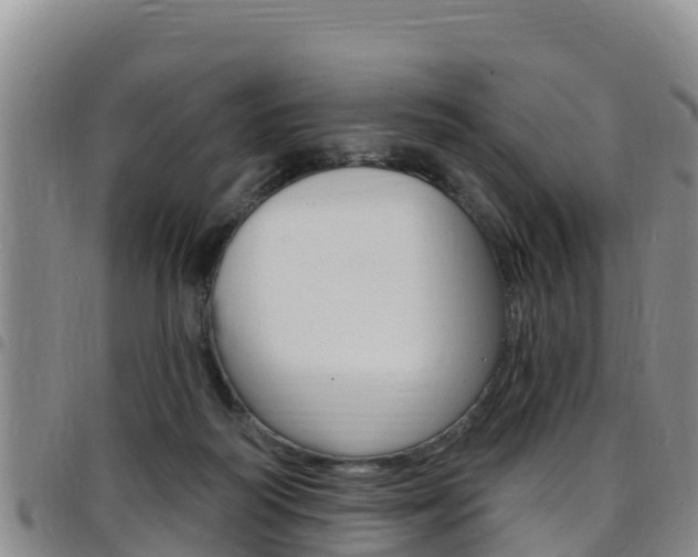 X0000097890218200803141012