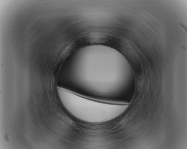 X0000097890219200803141012