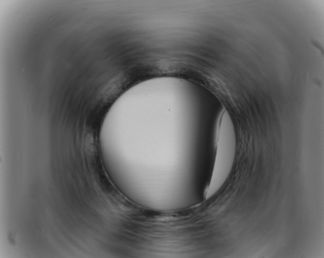 X0000097890220200803141012